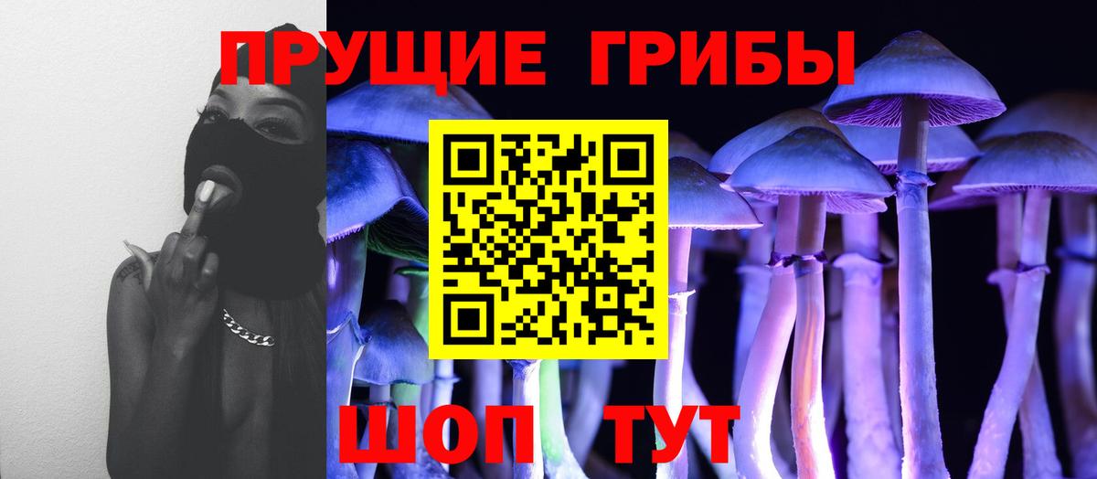 Галлюциногенные грибы Psilocybe Гусев